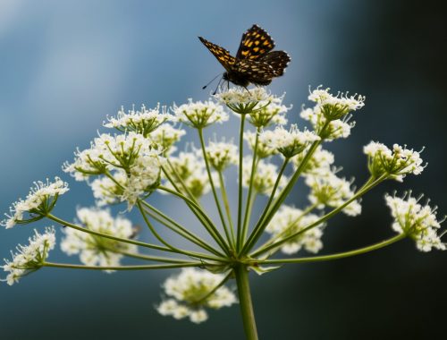 dominik-resek-LHiToyCXsro-unsplash