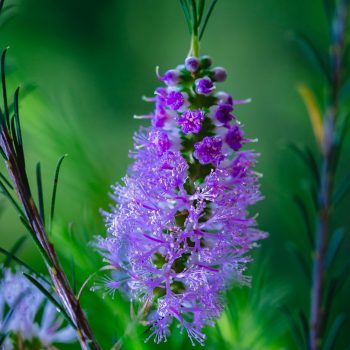 sooz-1Q8xRmfo8co-unsplash